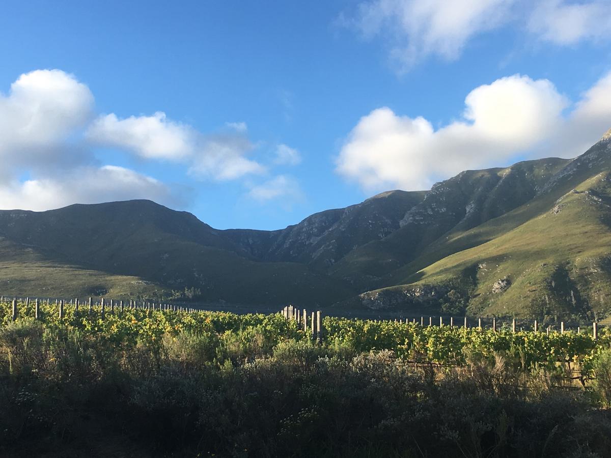 Misty Mountains Hermanus Exterior foto